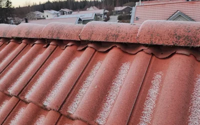 Ta hand om ditt tak – långsiktigt hållbart & ekonomiskt