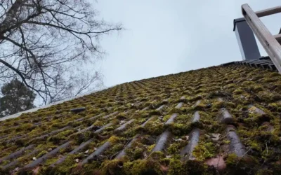 Så skyddar du taket inför hösten
