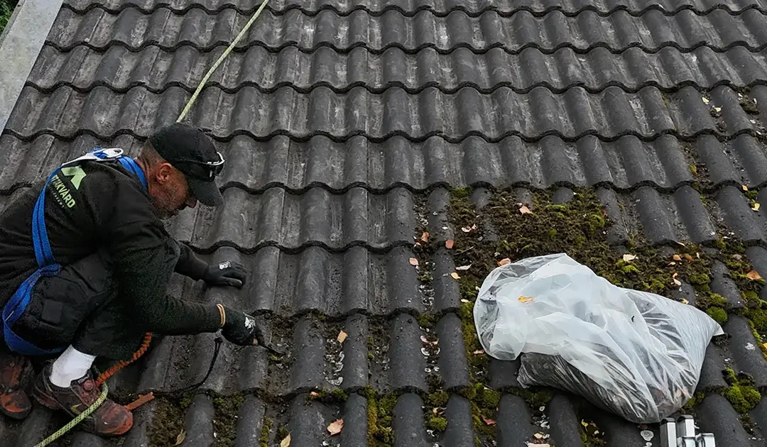 Hur ofta bör ett tak behandlas och vårdas?