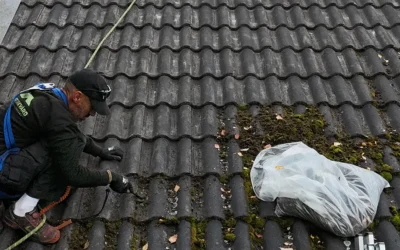 Hur ofta bör ett tak behandlas och vårdas?