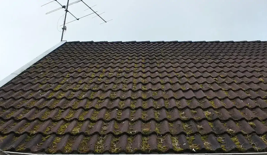 Så påverkas taket av skuggiga miljöer
