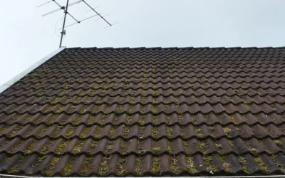 Så påverkas taket av skuggiga miljöer